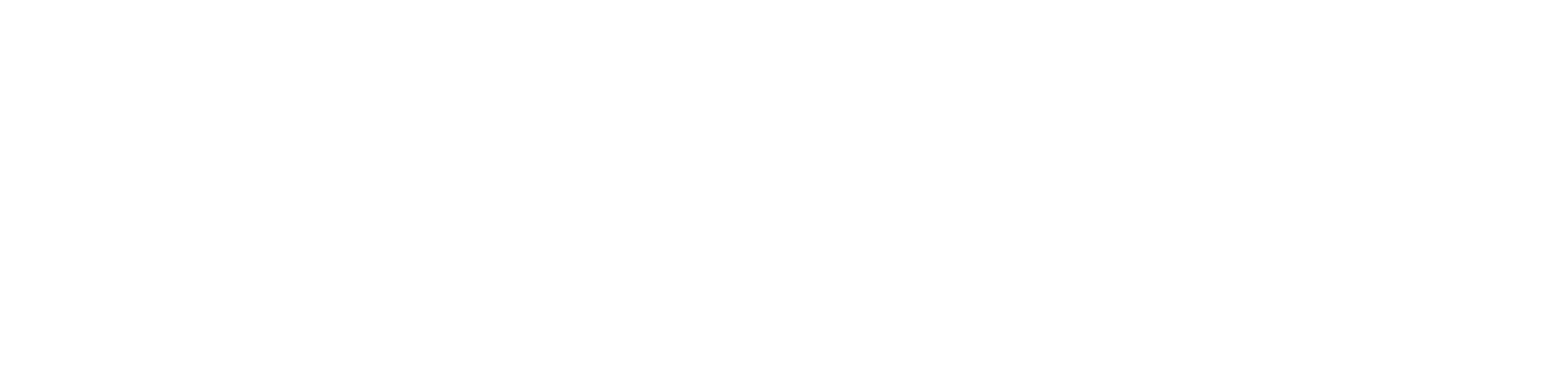 How To Replace A Lost Passport A Step by Step Guide Via